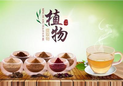 浙江茗皇 引領(lǐng)速溶茶與植物提取物產(chǎn)業(yè)的專(zhuān)業(yè)化發(fā)展