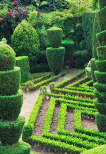 園林綠化施工的五項(xiàng)關(guān)鍵注意事項(xiàng)