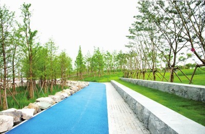 景觀提升項(xiàng)目投標(biāo)文件 園林綠化工程設(shè)計(jì)及施工一體化方案