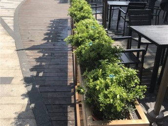 上海別墅庭院花園 從設計施工到綠化養護的全流程指南