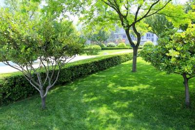 黃陂園林綠化工程與龍勝物業 攜手打造綠色生活空間